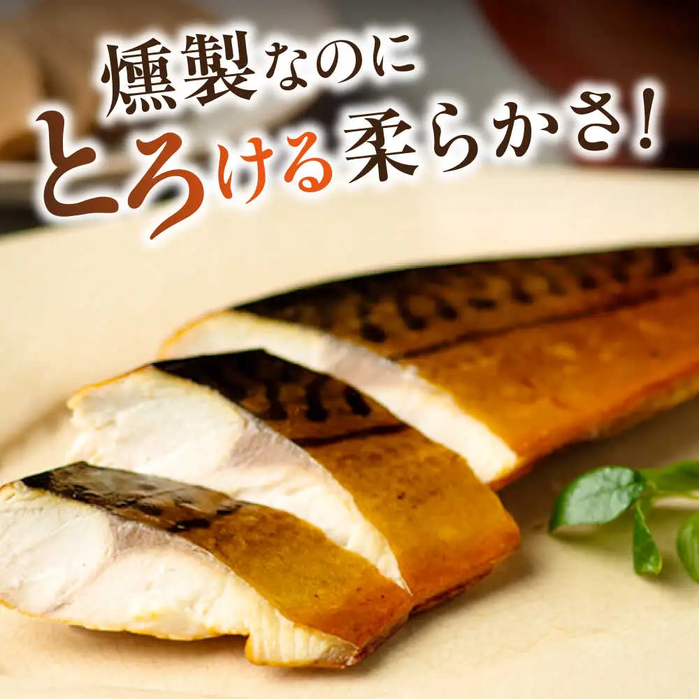 燻製塩さば鯖とろスモーク2枚セット［ALCN006］